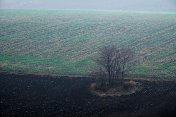 Solitér