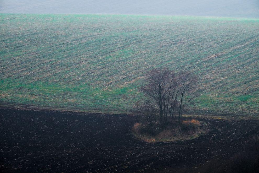 Solitér