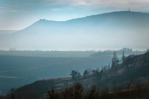 Pavlovské vrchy