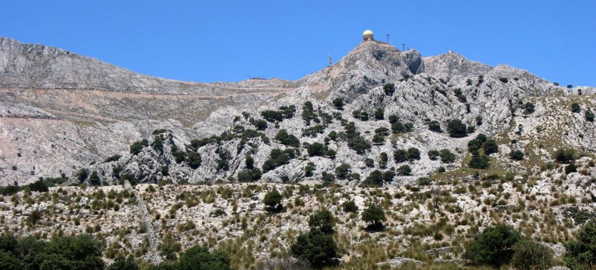 Puig Major