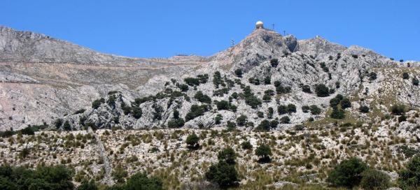 Puig Major