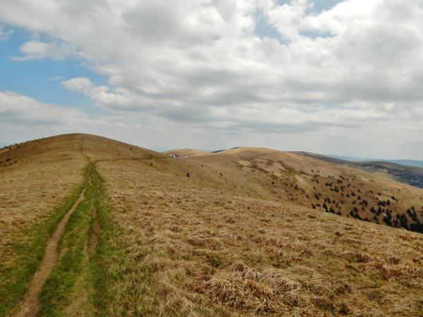 hřeben
