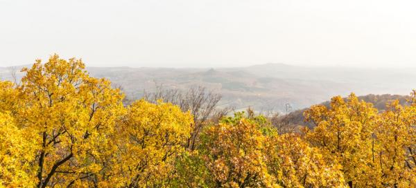 Karanč
