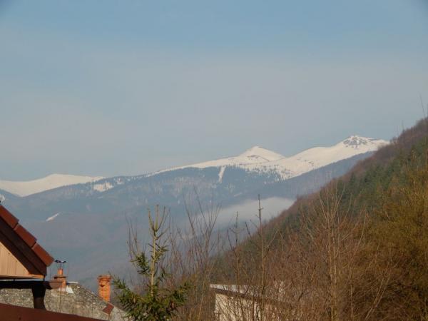 Stankovany