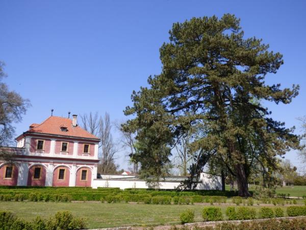 Zámecký park