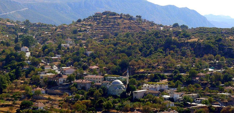 Söğüt