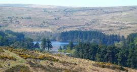 Národní park Dartmoor