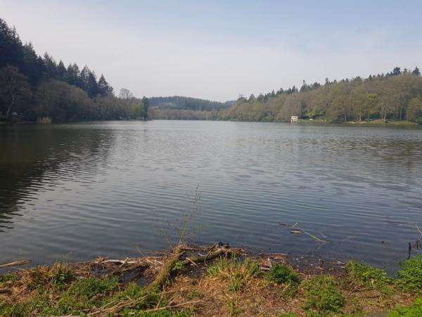 Zastávka u Shear Water