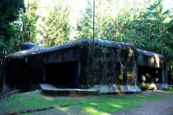Bunkry