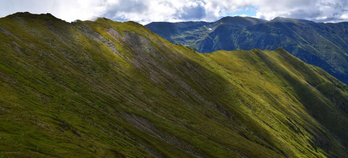 Fagaraš