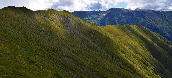 Fagaraš