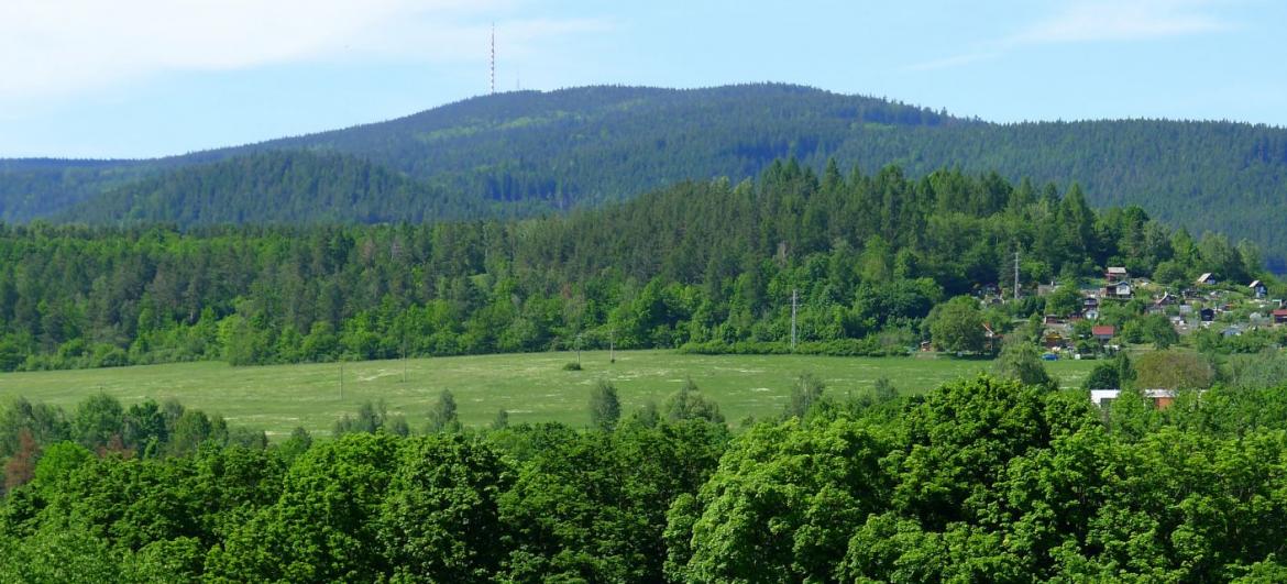 Kleť
