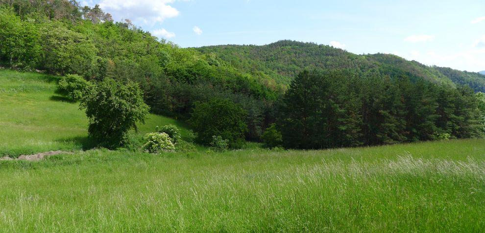 Cesta k podkově