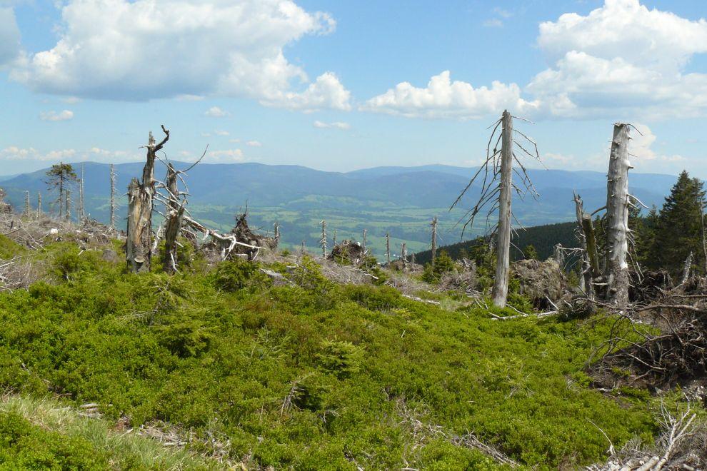 Sušina
