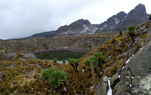 Hall Tarn