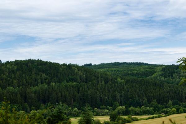 Rabštejn nad Střelou