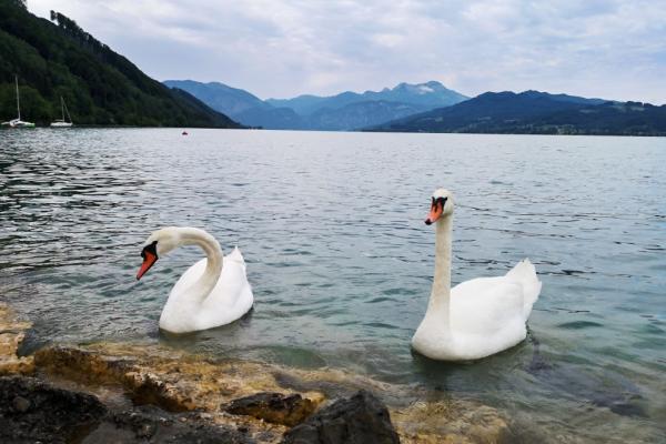 Rakousko - Attersee