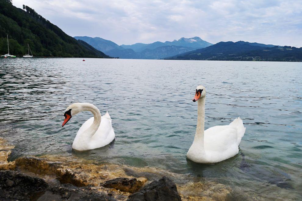 Rakousko - Attersee