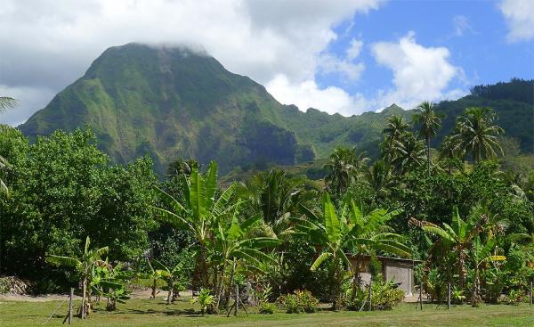 Mt. Tohiea