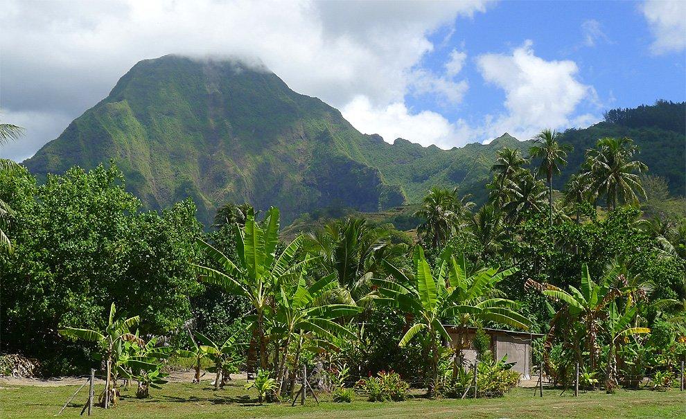 Mt. Tohiea