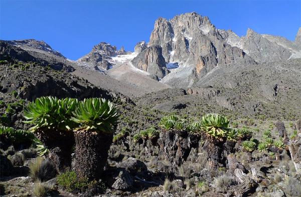 Mount Kenya