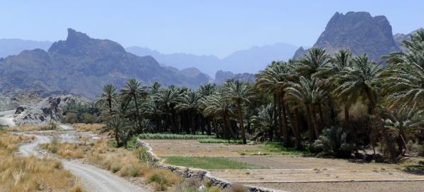 Wadi Bani Awf