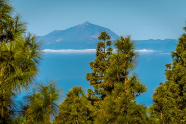 Pico de Teide