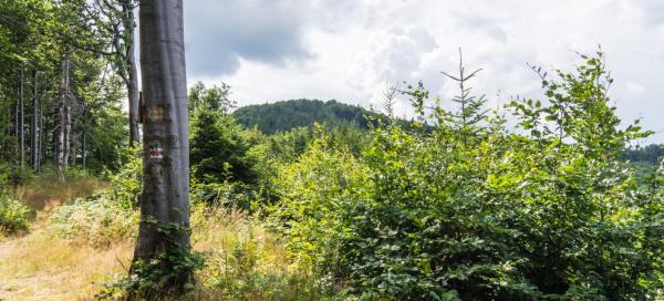 Skalka - Tri kríže a späť