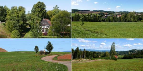 Kněžsko
