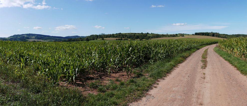 Hřebenová cesta na Císařovu hůrku