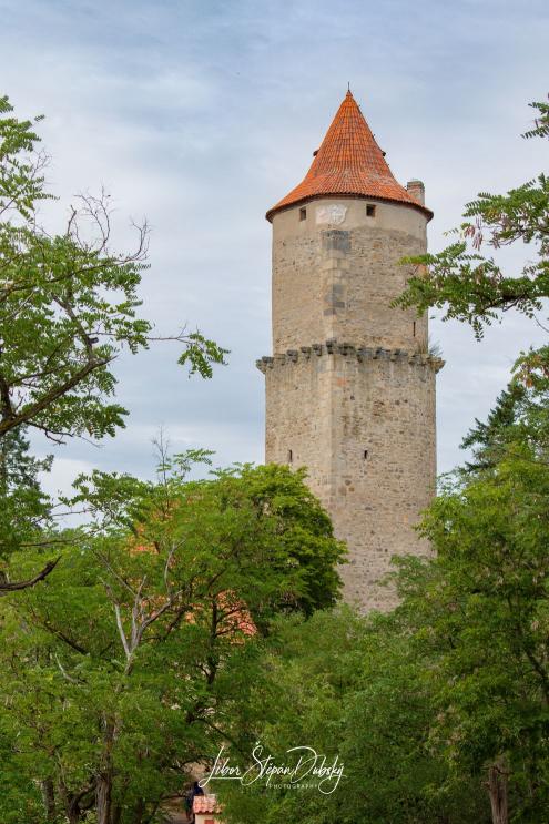 Hrad Zvíkov