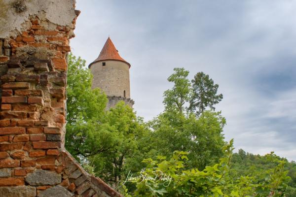 Hrad Zvíkov