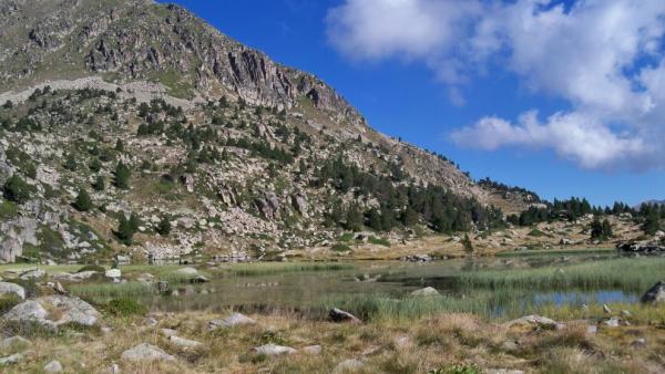 Estany Forcat