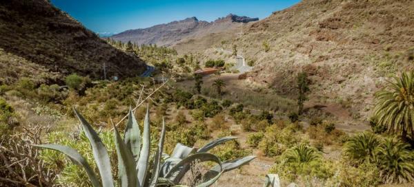 Gran Canaria