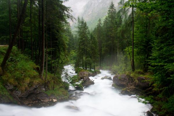 Waldbach