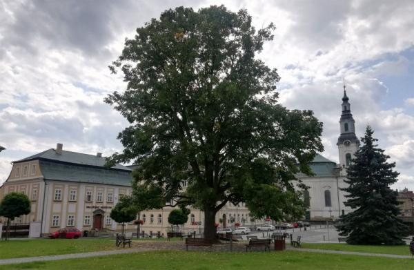 Nový Bor