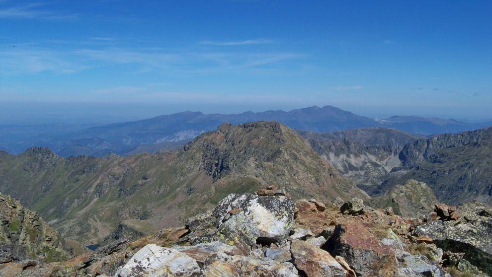 Vrchol