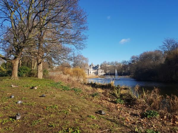 St. James park