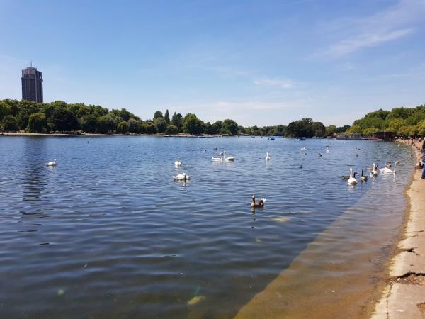 Hyde park