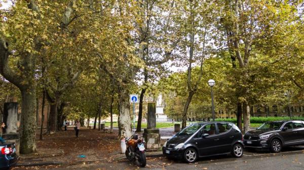 Tichý park