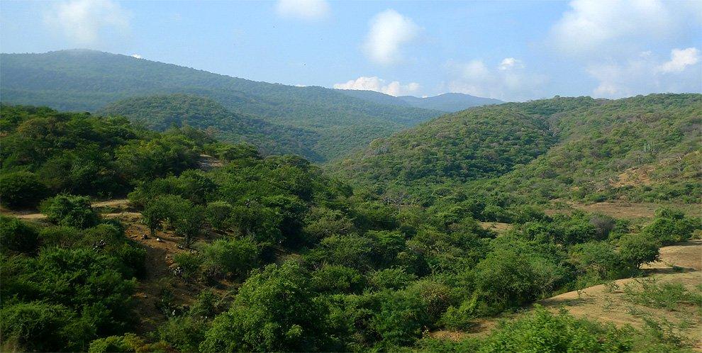 The hills to the south of Mexico City