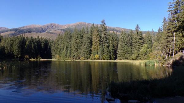 Vrbické pleso
