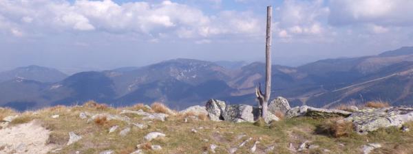 Bôr
