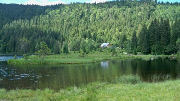 Kleiner Arbersee