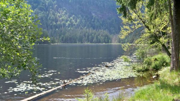Großer Arbersee