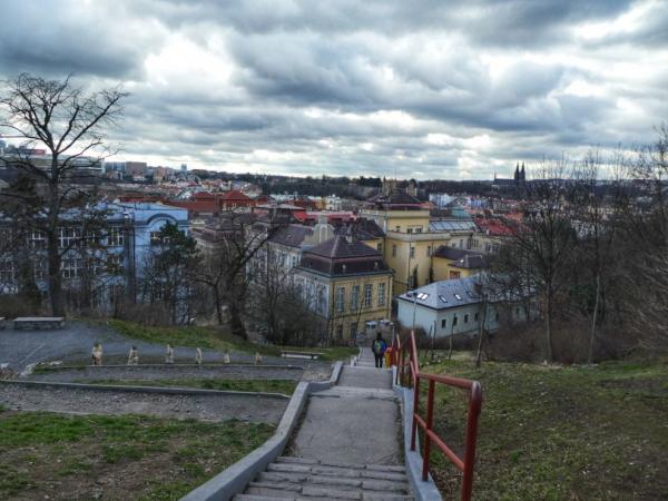 Albertovské svahy - schody dolů a výhled