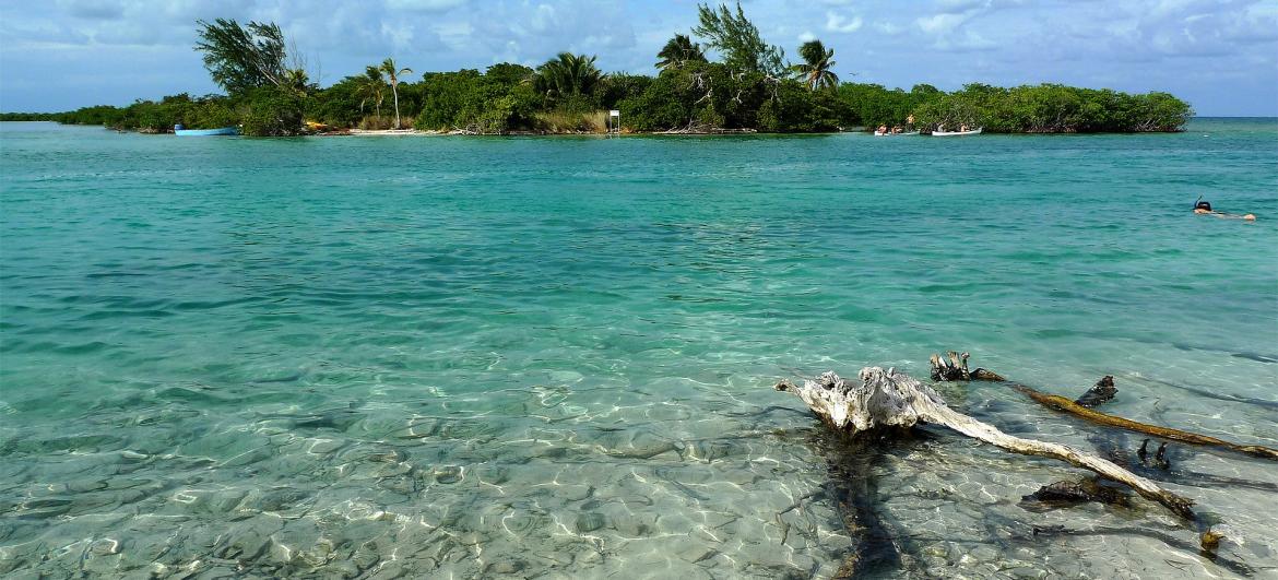 Caye Caulker