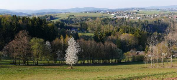 Túra Spálov - Nouzov - Semily