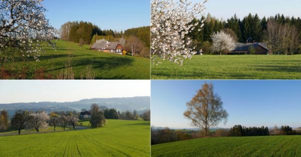 Cimbál