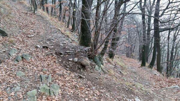 Po červené do Milešova